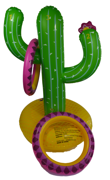 Kaktus Wurfspiel